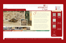 Interface de site internetstone design