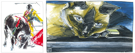Visuels matador et chat siamois