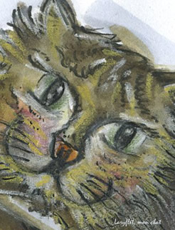 Visuel illustration chat